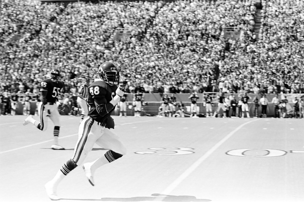Chicago Bears vs. Cleveland Browns - Barry Jarvinen for Chicago Sun-Times