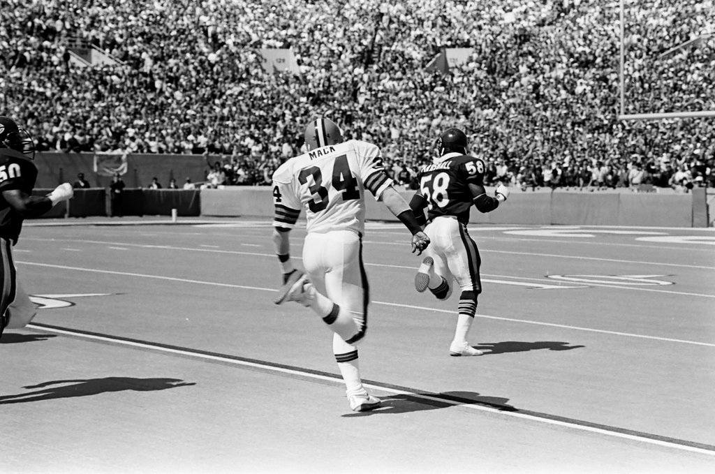 Chicago Bears vs. Cleveland Browns - Barry Jarvinen for Chicago Sun-Times