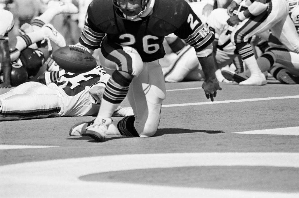 Chicago Bears vs. Cleveland Browns - Barry Jarvinen for Chicago Sun-Times