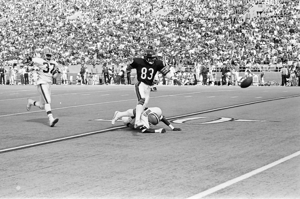 Chicago Bears vs. Cleveland Browns - Barry Jarvinen for Chicago Sun-Times