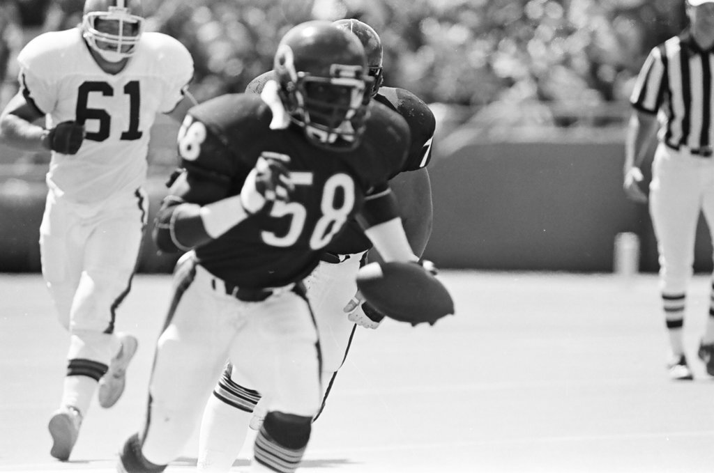 Chicago Bears vs. Cleveland Browns - Barry Jarvinen for Chicago Sun-Times