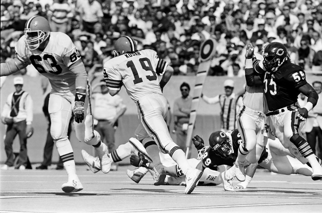 Chicago Bears vs. Cleveland Browns - Barry Jarvinen for Chicago Sun-Times