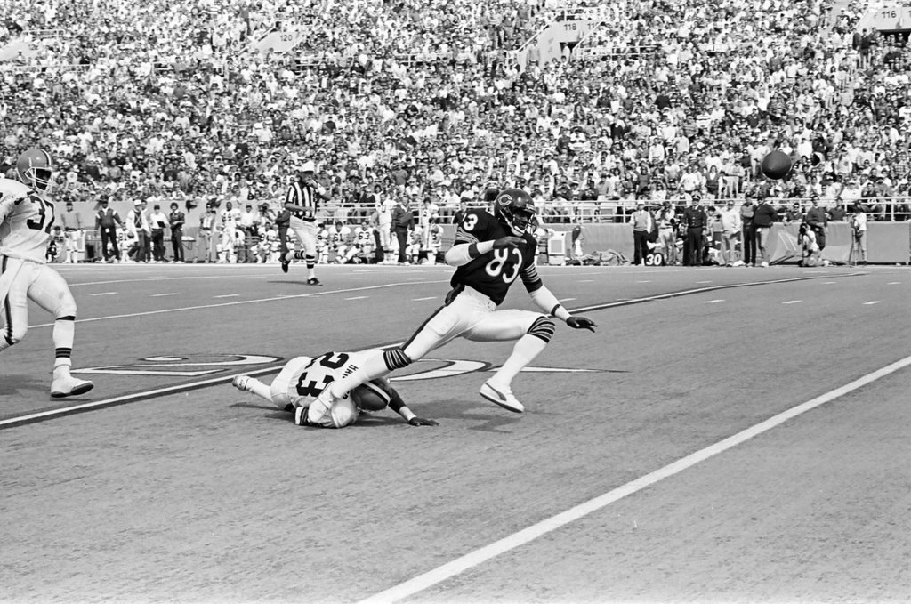 Chicago Bears vs. Cleveland Browns - Barry Jarvinen for Chicago Sun-Times