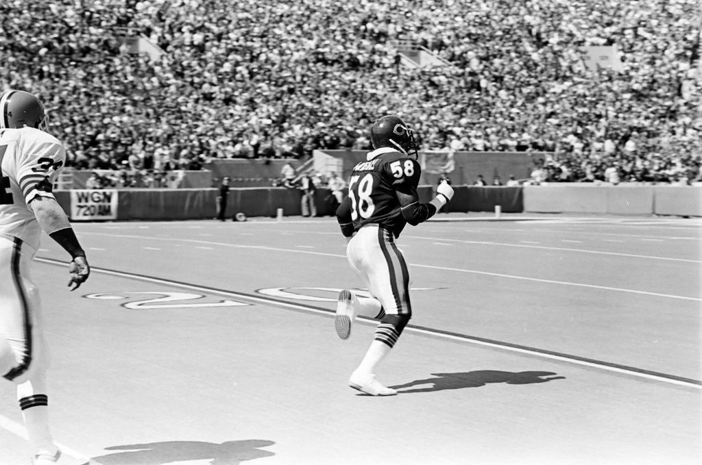 Chicago Bears vs. Cleveland Browns - Barry Jarvinen for Chicago Sun-Times