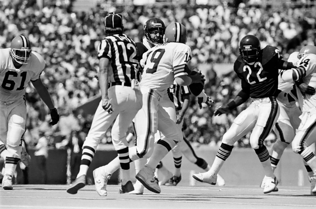 Chicago Bears vs. Cleveland Browns - Barry Jarvinen for Chicago Sun-Times