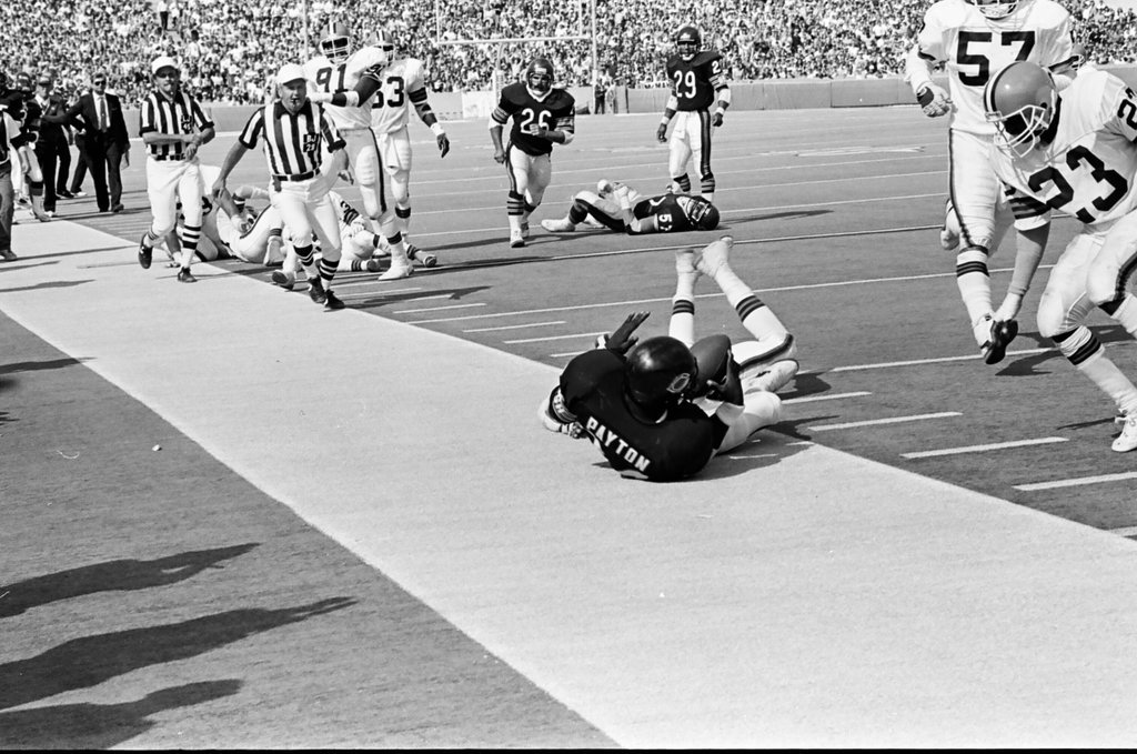 Chicago Bears vs. Cleveland Browns - Barry Jarvinen for Chicago Sun-Times