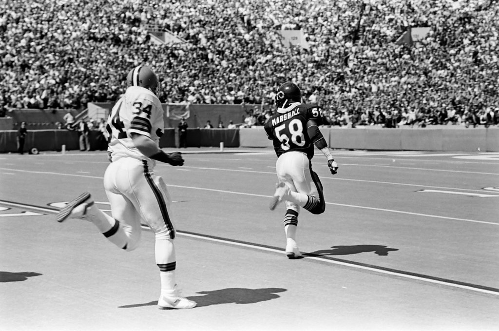 Chicago Bears vs. Cleveland Browns - Barry Jarvinen for Chicago Sun-Times