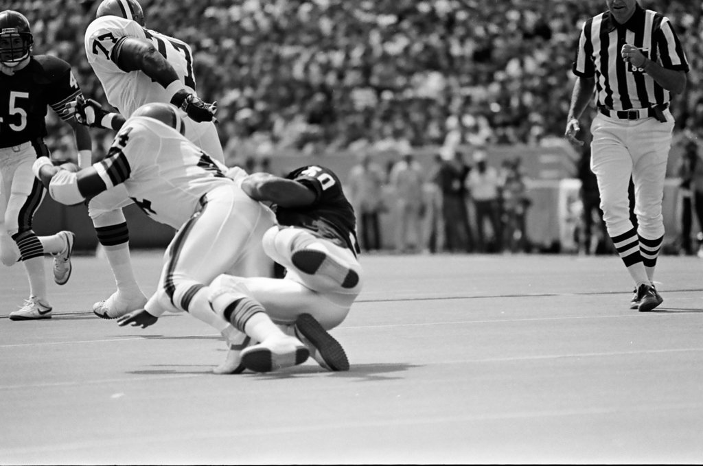 Chicago Bears vs. Cleveland Browns - Barry Jarvinen for Chicago Sun-Times