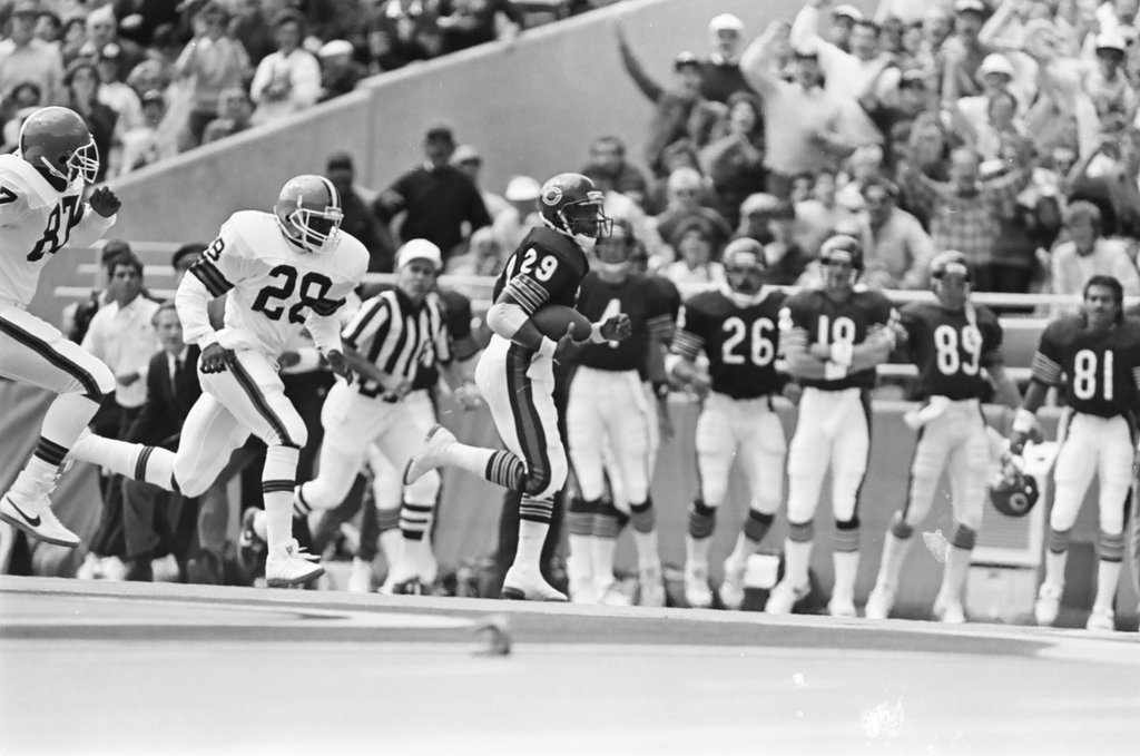 Chicago Bears vs. Cleveland Browns - Barry Jarvinen for Chicago Sun-Times