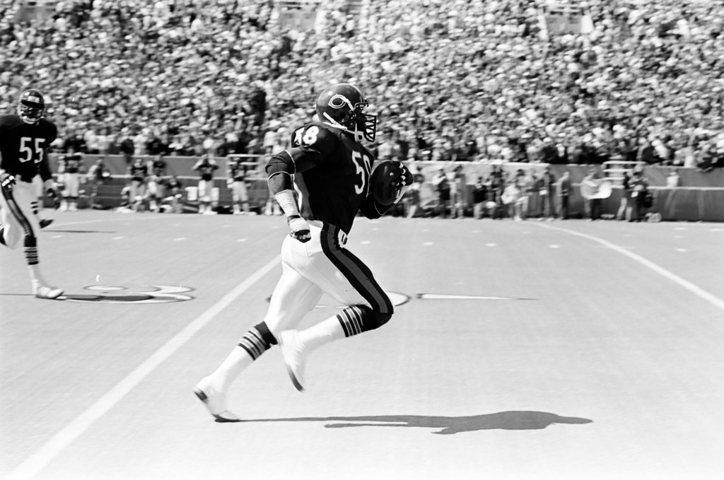Chicago Bears vs. Cleveland Browns - Barry Jarvinen for Chicago Sun-Times