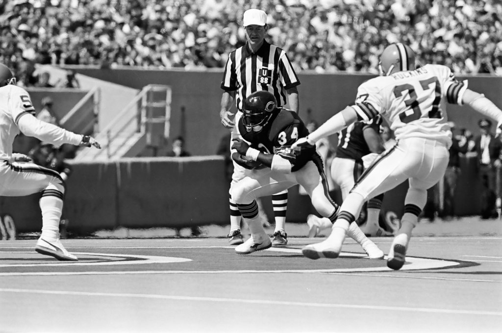 Chicago Bears vs. Cleveland Browns - Barry Jarvinen for Chicago Sun-Times