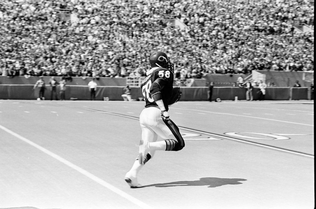 Chicago Bears vs. Cleveland Browns - Barry Jarvinen for Chicago Sun-Times