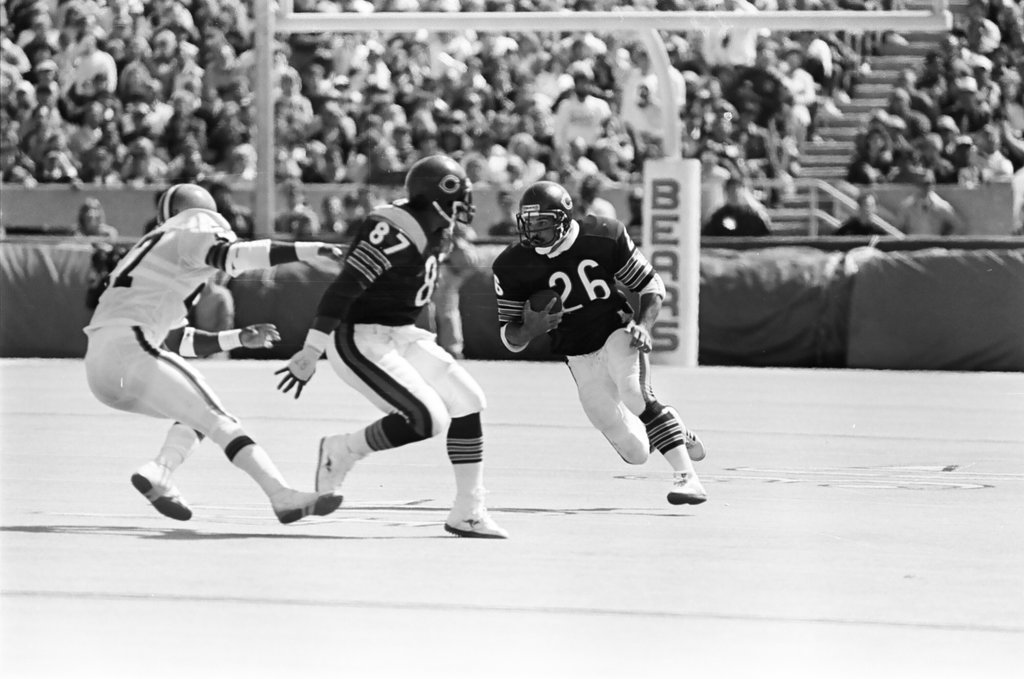 Chicago Bears vs. Cleveland Browns - Barry Jarvinen for Chicago Sun-Times
