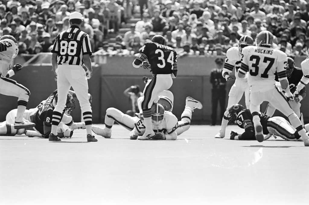 Chicago Bears vs. Cleveland Browns - Barry Jarvinen for Chicago Sun-Times