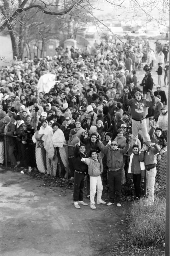 Chicago Bears fans line up for playoff tickets - James (Jim) Klepitsch for Chicago Sun-Times