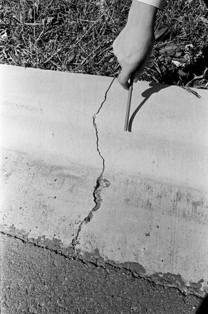 Shallow curbs on Berteau Avenue - Chicago Sun-Times