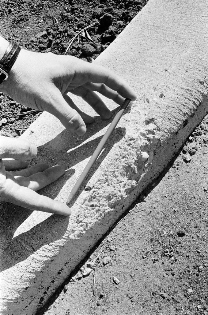 Shallow curbs on Berteau Avenue - Chicago Sun-Times