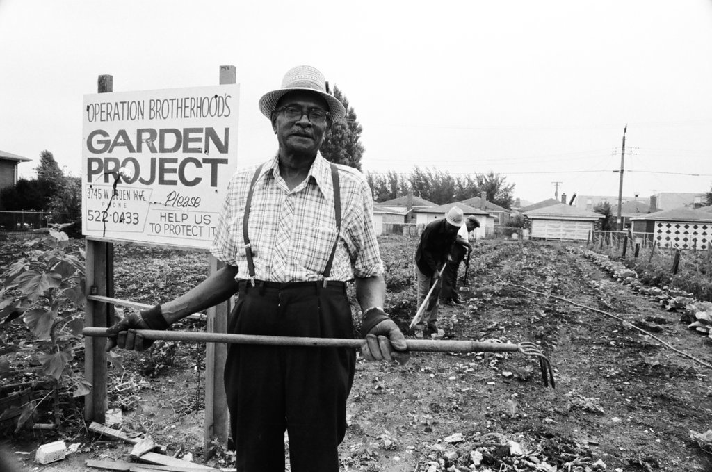 Operation Brotherhood Garden Project - Jack Lenahan for Chicago Sun-Times
