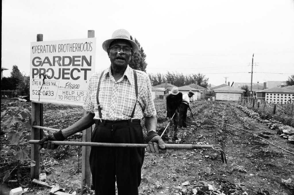 Operation Brotherhood Garden Project - Jack Lenahan for Chicago Sun-Times