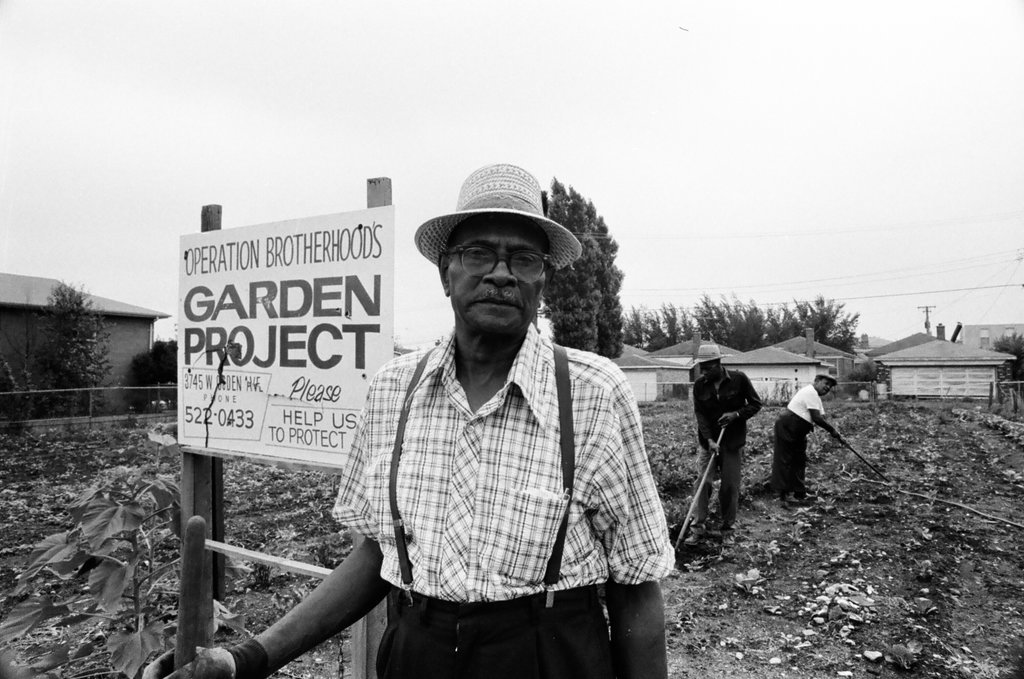 Operation Brotherhood Garden Project - Jack Lenahan for Chicago Sun-Times