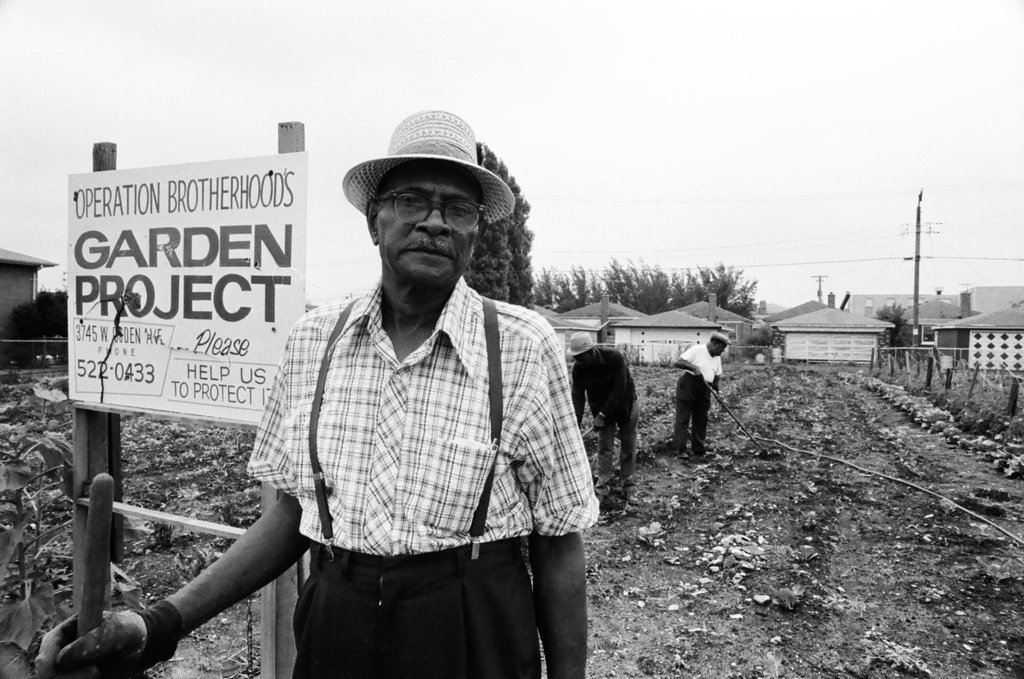 Operation Brotherhood Garden Project - Jack Lenahan for Chicago Sun-Times