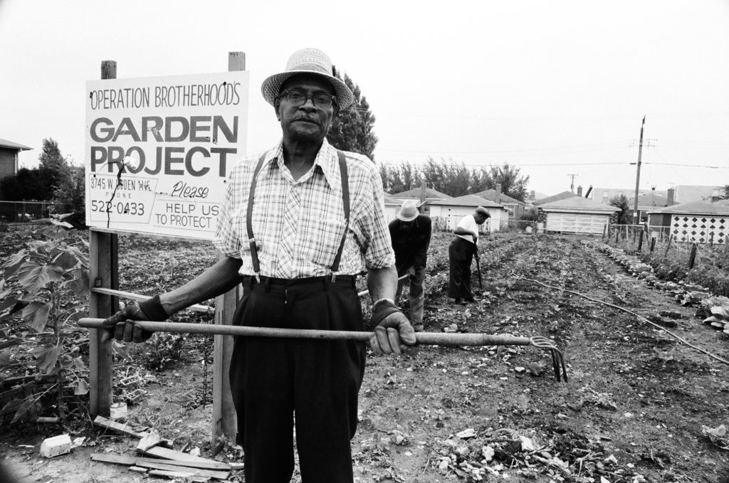 Operation Brotherhood Garden Project - Jack Lenahan for Chicago Sun-Times