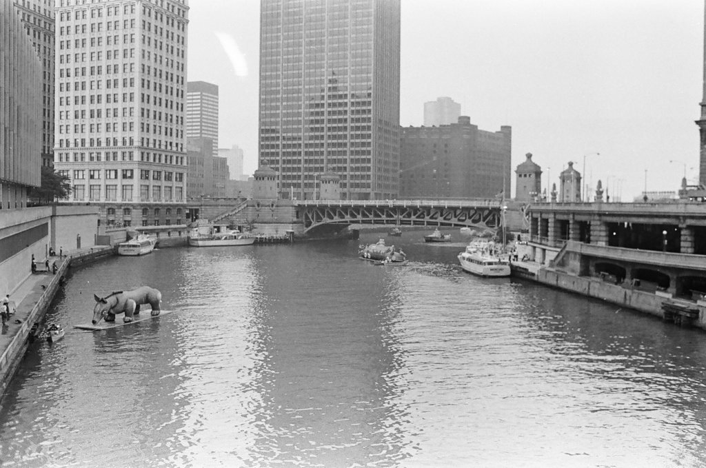 River Parade at the Lakefront Festival - Larry Nocerino for Chicago Sun-Times