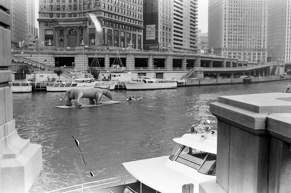 River Parade at the Lakefront Festival - Larry Nocerino for Chicago Sun-Times