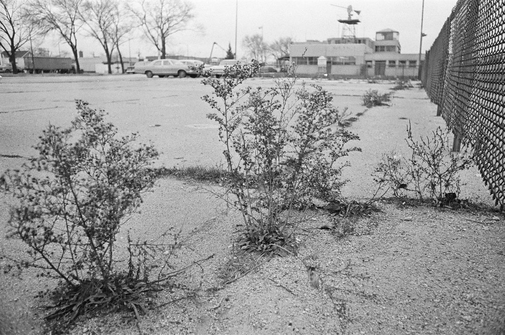 Midway Airport neighborhood - Charles Krejcsi for Chicago Sun-Times