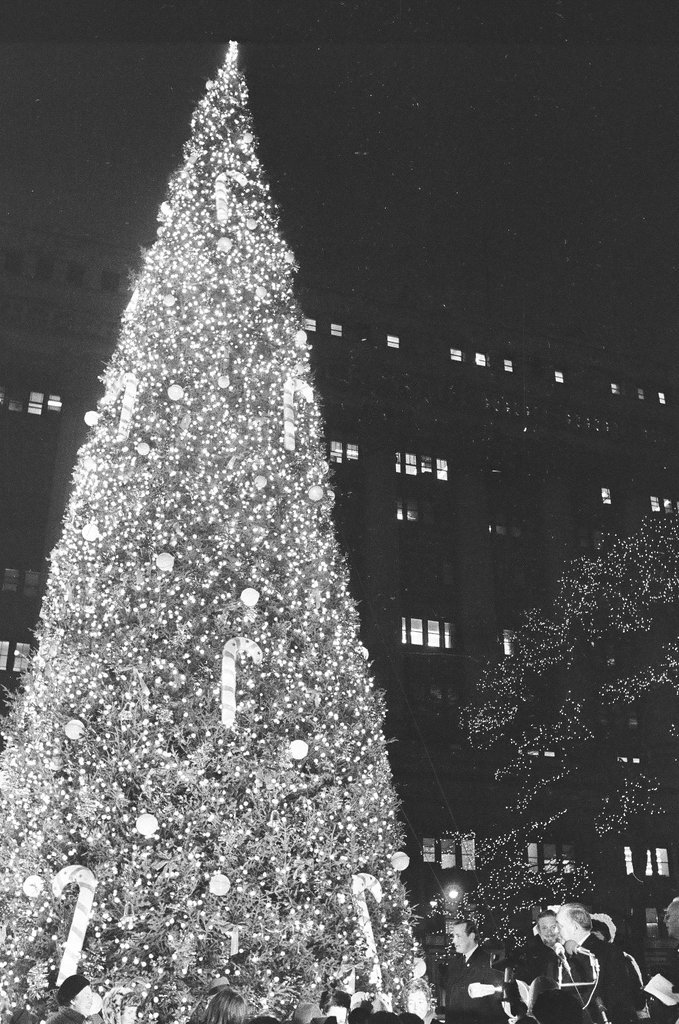 Christmas tree with lights at the Civic Center - Chicago Sun-Times