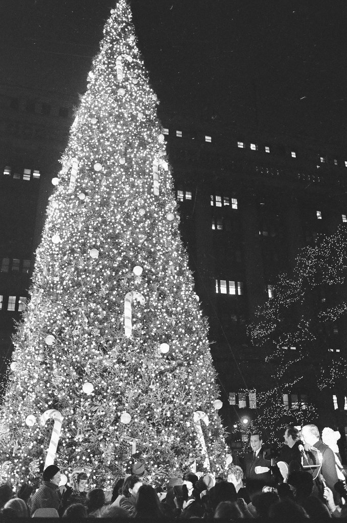 Christmas tree with lights at the Civic Center - Chicago Sun-Times