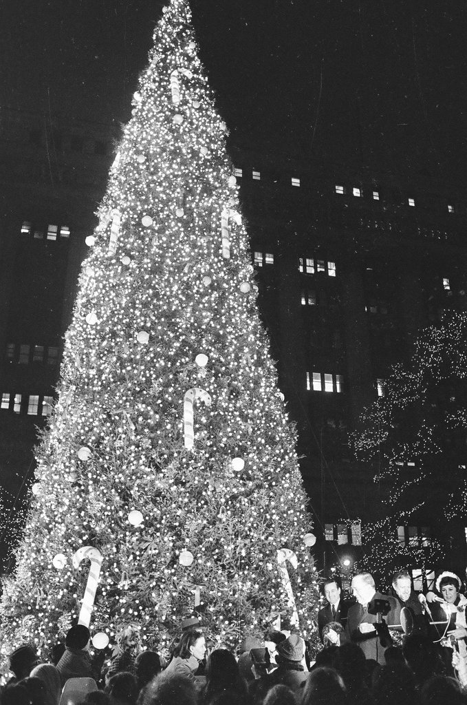 Christmas tree with lights at the Civic Center - Chicago Sun-Times