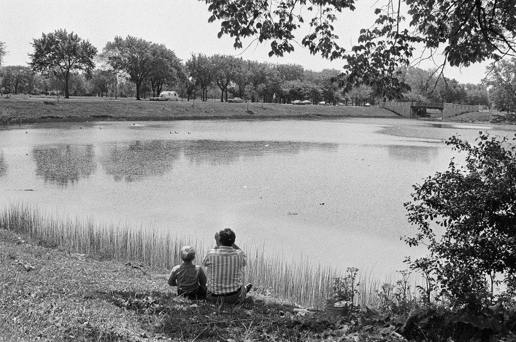 Scenes from Chicago Lawn neighborhood - Perry C. Riddle for Chicago Sun-Times