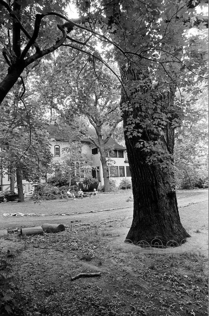 Homes and businesses in Morgan Park - Jack Lenahan for Chicago Sun-Times