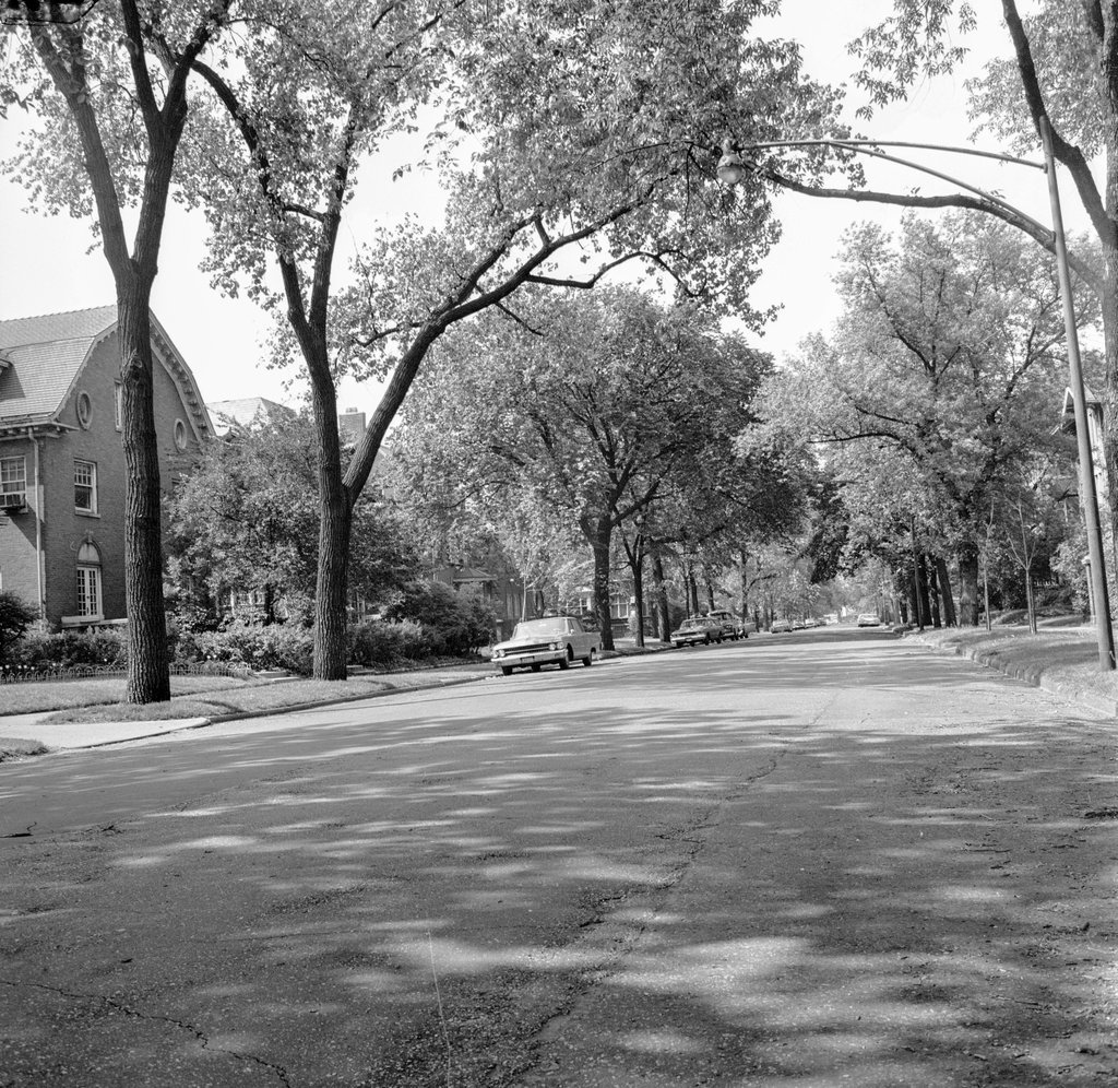 Greenwood Avenue and 48th Street in Kenwood - Chicago Sun-Times