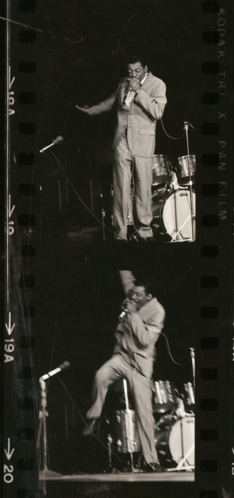 Little Walter - Flerlage, Raeburn, 1915-2002