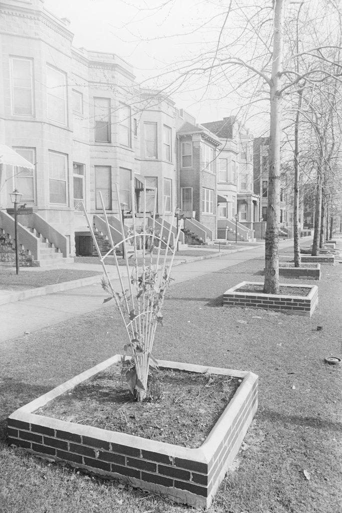 Woodlawn neighborhood - Haun, Declan, 1937-1994