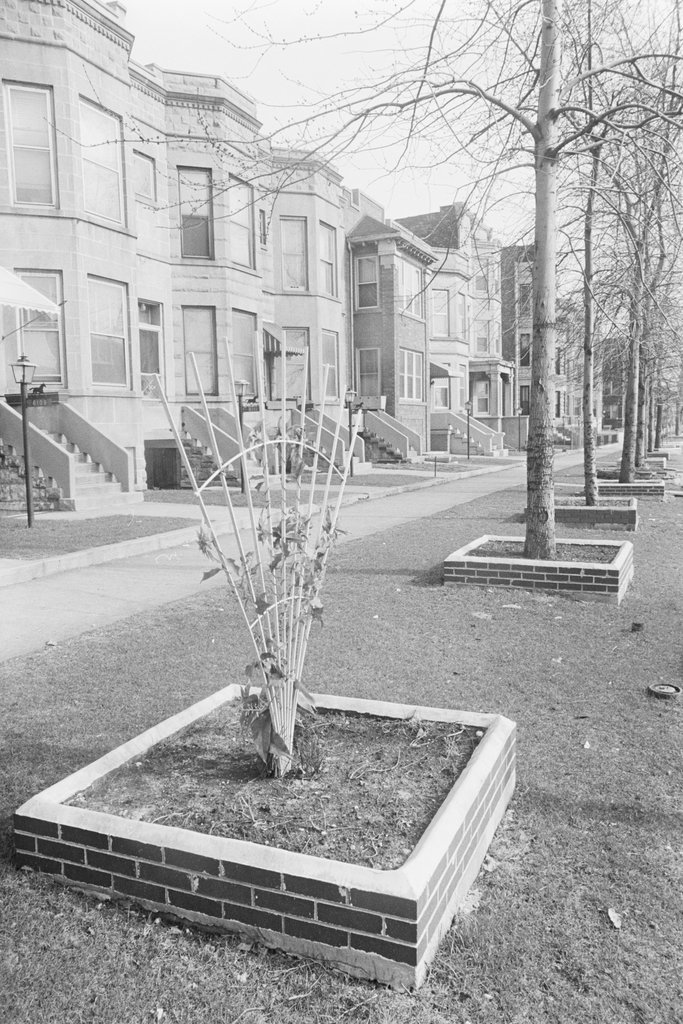 Woodlawn neighborhood - Haun, Declan, 1937-1994
