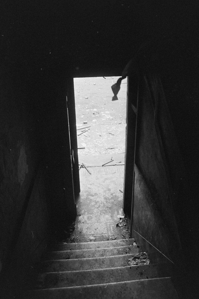 Woodlawn neighborhood - Haun, Declan, 1937-1994