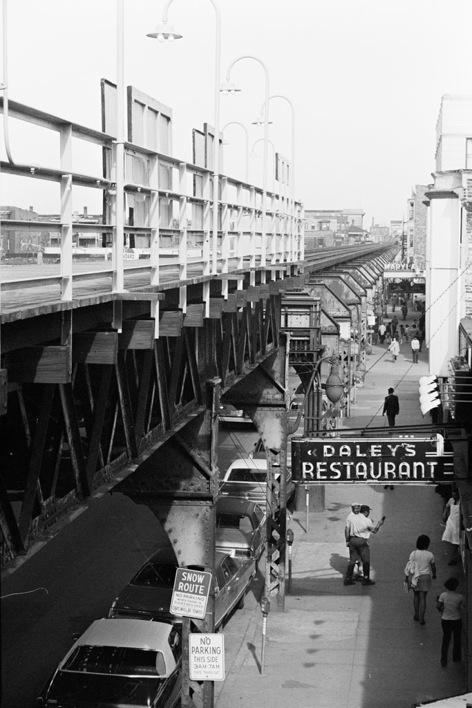 Woodlawn neighborhood - Haun, Declan, 1937-1994