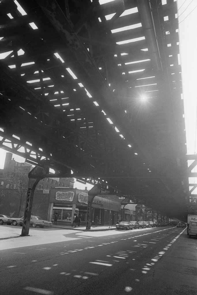 Woodlawn neighborhood - Haun, Declan, 1937-1994