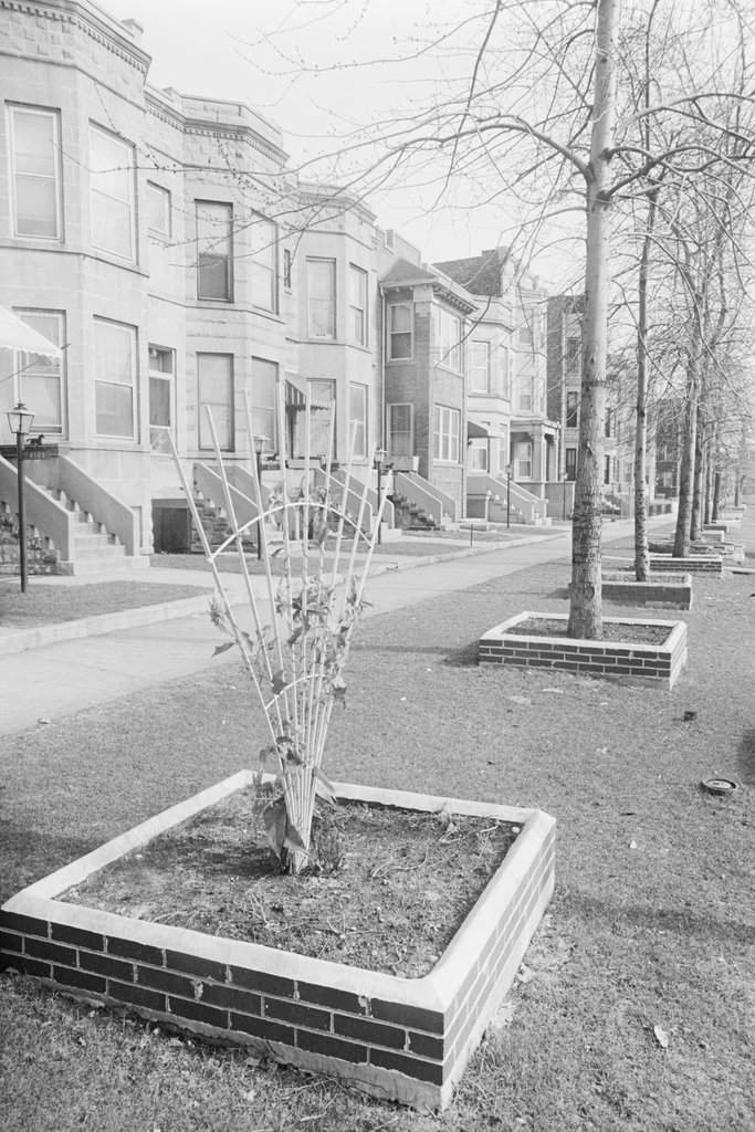 Woodlawn neighborhood - Haun, Declan, 1937-1994