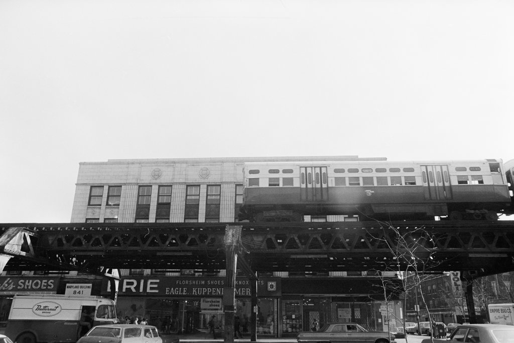Woodlawn neighborhood - Haun, Declan, 1937-1994