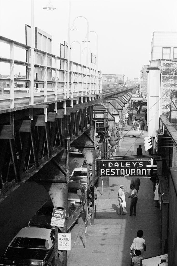 Woodlawn neighborhood - Haun, Declan, 1937-1994