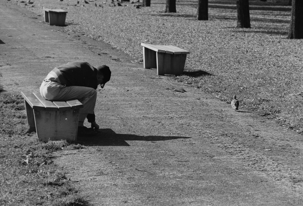 Grant Park - Haun, Declan, 1937-1994