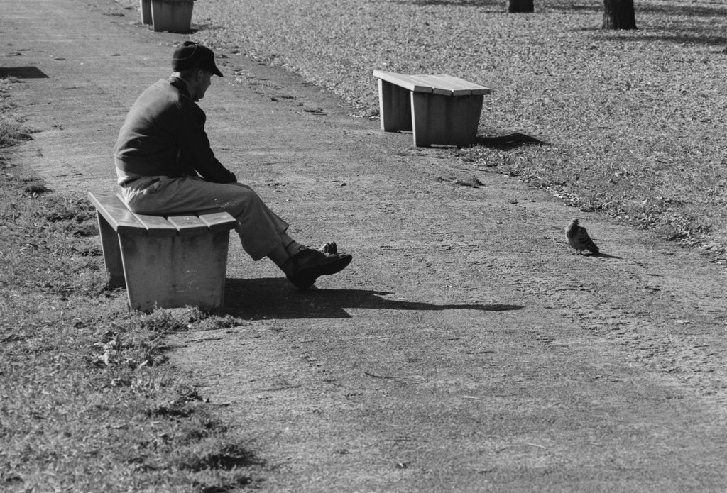 Grant Park - Haun, Declan, 1937-1994