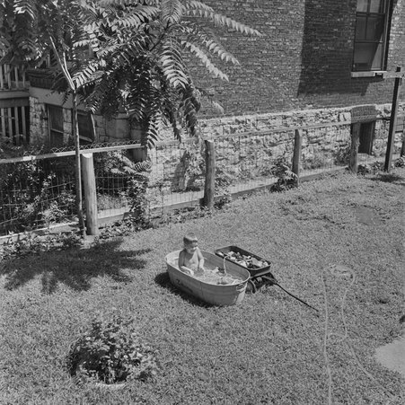 Yard at 6401 South Stewart Avenue in Englewood - Mead, Mildred