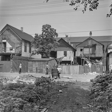 Children in the alley north of West 42nd Street in Fuller Park - Mead, Mildred