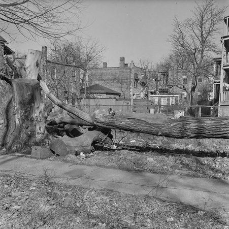 Vacant lot at South Wabash Avenue and East 68th Street in Greater Grand Crossing - Mead, Mildred