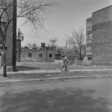 Vacant lots between 5532-5542 South Maryland Avenue in Hyde Park - Mead, Mildred
